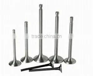 Agriculture Diesel Engine R175175A Valve thumbnail-1