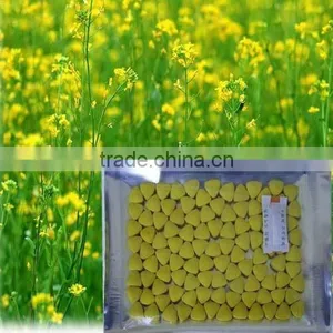100% Natural Bee Pollen for Health Food thumbnail-1
