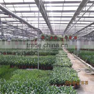 Fully Automated Light Deprivation Greenhouse thumbnail-2
