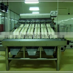 Shrimp Grading Machine thumbnail-1