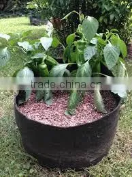 Garden Fabric Pot Garden Flower Planter Pot Hydro for Flower System Smart Non Woven Plant Bag (1 Gal to 1200 Gal) thumbnail-1