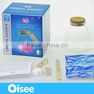 Powder Experiment Toys Galss Bottle Crystal Garden thumbnail-1