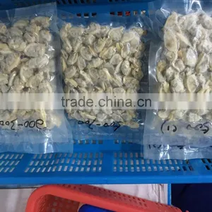 High Quality Frozen Short Necked Clam Meat thumbnail-5