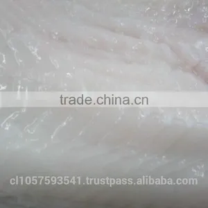 Patagonian Toothfish or Real Chilean Seabass thumbnail-3