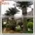Hot Sale Artificial Decorative Metal Palm Trees thumbnail-5