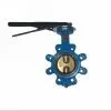 Two-PC Stem Butterfly Valve Without Pin thumbnail-1