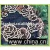 Mushroom Extract,maitake Mushroom Extract,agaricus Blazei Extract thumbnail-1