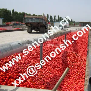 Tomato Paste Production Line With Treatment Capacity 350tons per Day thumbnail-2
