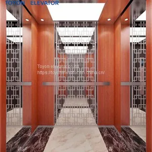 Toyon Villa Lift for Residential and Home Elevator thumbnail-5
