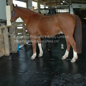 Horse Stable Rubber Mat From Qingdao Singreat in Chinese( Evergreen Properity) thumbnail-3