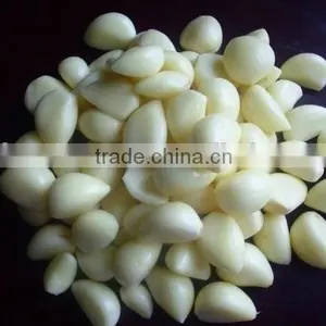 Peeled Garlic thumbnail-2