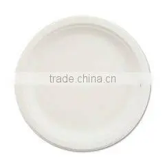 Paper Plates thumbnail-1