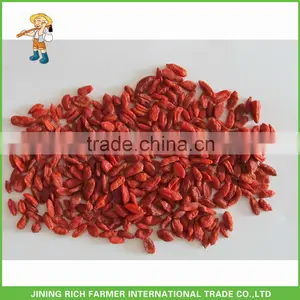 Dried Wolf Berry 180Grains/50G thumbnail-1