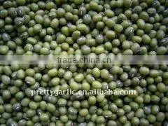 Green Mung Beans Crop 2011 thumbnail-1