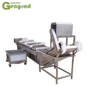 Steam Blanching Machine for Vegetable and Fruit Processing thumbnail-5