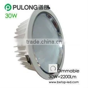 Led Downlight 30W SMD thumbnail-1