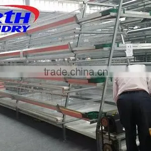 Whloesale Poultry Automatic Feeding Chain System in Poultry Farming Equipment Automatic Chicken Feeder thumbnail-5