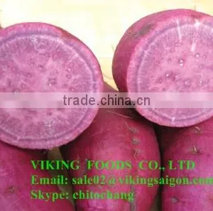 HOT SELL - COOKED FROZEN SWEET POTATO - HIGH QUALITY thumbnail-1