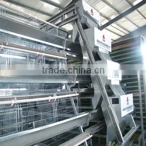 Automatic Chicken Layer Cage for Sale in Philippines thumbnail-2