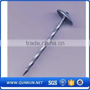Concrete Nails Electro Galv. Common Nails With Washer thumbnail-6