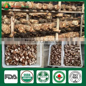 Mushroom Spores,Shiitake Mushroom Substrate,Reishi Mushroom thumbnail-5