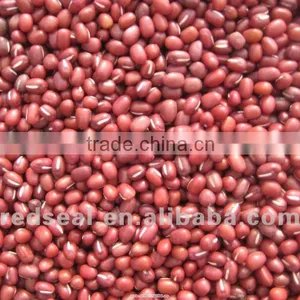 Organic Small Red Beans thumbnail-1