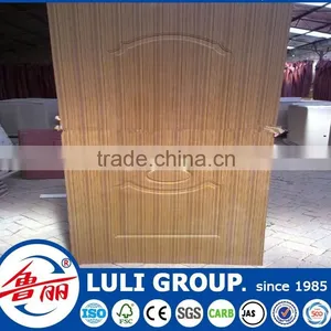 Door Skin thumbnail-5