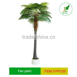 Impressive Artificial Fan Palm Tree With Single Trunk thumbnail-1