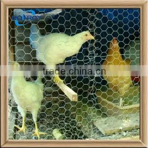 Hot Dipped Galvanized Hexagonal Poultry Wire Netting thumbnail-1