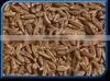 Indian Cumin Seed thumbnail-1