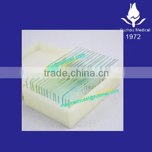 Zoology Different Slides Set of 25 Slides thumbnail-1