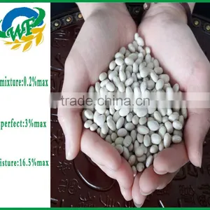 Chinese White Kidney Beans (navy Type) thumbnail-3