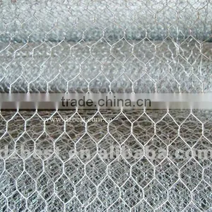 Electro Galvanized Hexagonal Wire Mesh 10mm for Poultry Feeding thumbnail-4