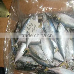 Frozen Fish / Crabs / Shrimps / Clams and Dried Fish Skin & Bones thumbnail-3