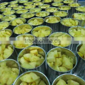 Canned Fruits thumbnail-1