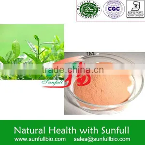 Iced-water Soluble Tea Extract With High Content Catechins thumbnail-1