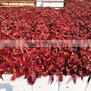Dried Chilli thumbnail-2