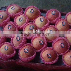 Fuji Apple for India Market thumbnail-1