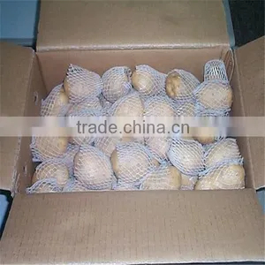 New Crop Fresh Shandong Potato for Sale thumbnail-6