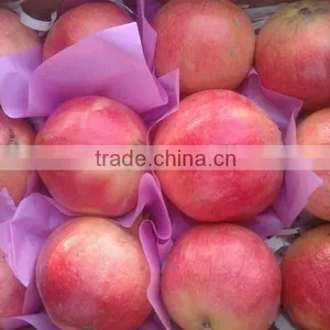 POMEGRANATE CROP NEW FRESH HIGH QUALITY thumbnail-2