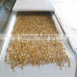 Tenebrio Molitor Dryer Machinery/Tunnel Type Tenebrio Molitor Microwave Drying Machine thumbnail-1
