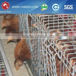 Hot Galvinized Metal Poultry Chicken Cages thumbnail-5