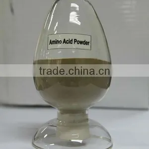 High Purity Animal Source Amino Acid thumbnail-1