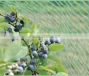 PEA AND BEAN NETTING thumbnail-3