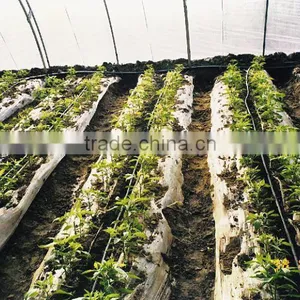 Greenhouse Irrigation System thumbnail-1