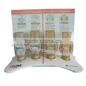 Medical Anatomical Knee Joint Model thumbnail-2