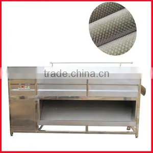 Industrial Brush Roller Electric Carrot Washer thumbnail-1