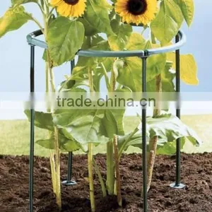 Plants Support 8pc/set,2015 Hot Selling thumbnail-3