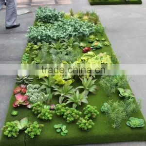 Succulent Plants Green Wall Interior Decoration for Sale thumbnail-3