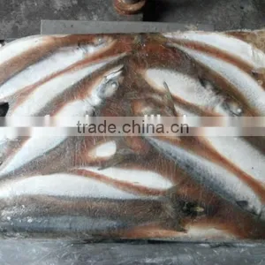 Frozen Pacific Saury #3 #4 thumbnail-1